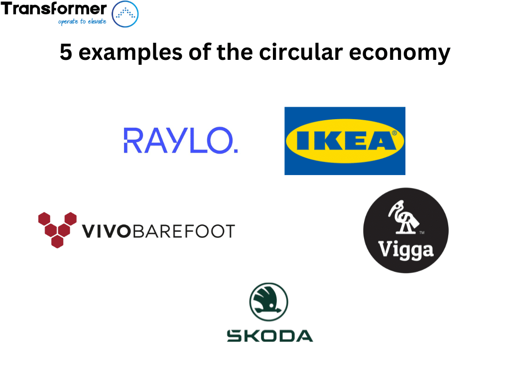 examples of the circular economy